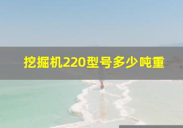 挖掘机220型号多少吨重