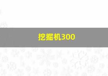 挖掘机300