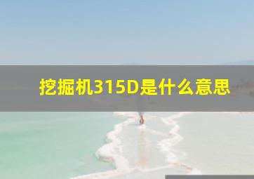 挖掘机315D是什么意思