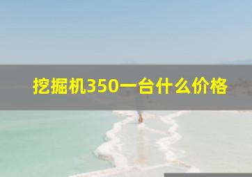 挖掘机350一台什么价格