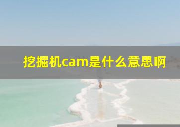 挖掘机cam是什么意思啊