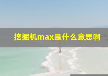 挖掘机max是什么意思啊