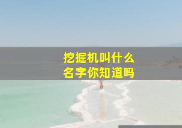 挖掘机叫什么名字你知道吗