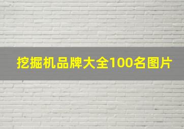 挖掘机品牌大全100名图片