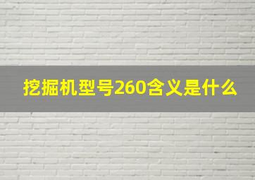 挖掘机型号260含义是什么