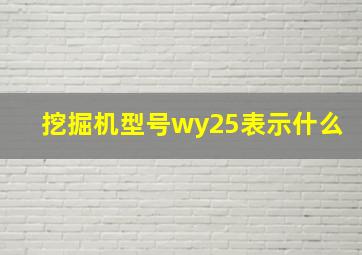 挖掘机型号wy25表示什么