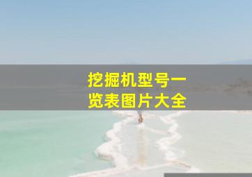 挖掘机型号一览表图片大全