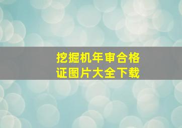 挖掘机年审合格证图片大全下载