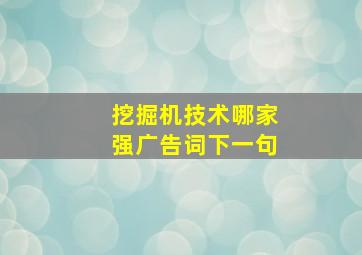 挖掘机技术哪家强广告词下一句