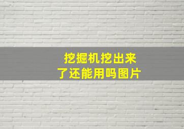 挖掘机挖出来了还能用吗图片