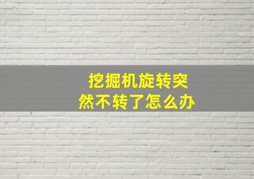 挖掘机旋转突然不转了怎么办