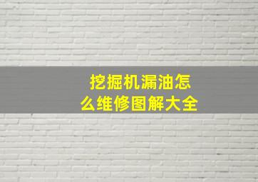 挖掘机漏油怎么维修图解大全