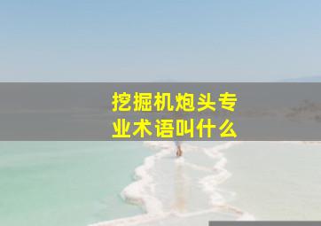 挖掘机炮头专业术语叫什么