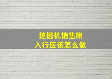 挖掘机销售刚入行应该怎么做