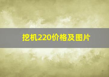 挖机220价格及图片