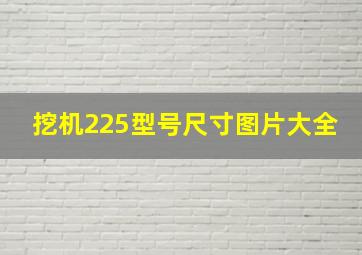 挖机225型号尺寸图片大全