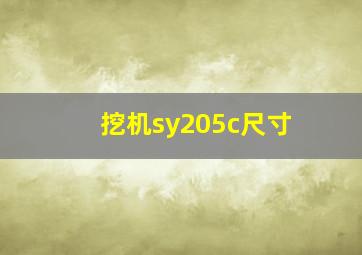 挖机sy205c尺寸