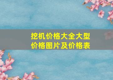 挖机价格大全大型价格图片及价格表