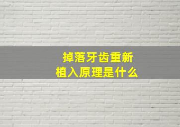 掉落牙齿重新植入原理是什么