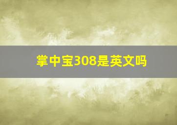 掌中宝308是英文吗