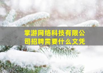 掌游网络科技有限公司招聘需要什么文凭