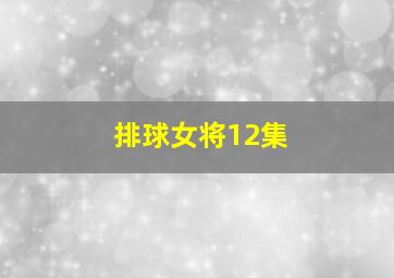 排球女将12集