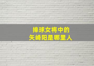 排球女将中的矢崎阳是哪里人