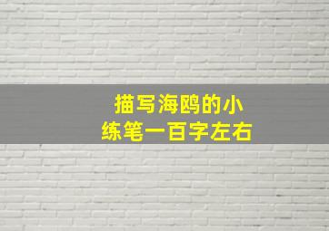 描写海鸥的小练笔一百字左右