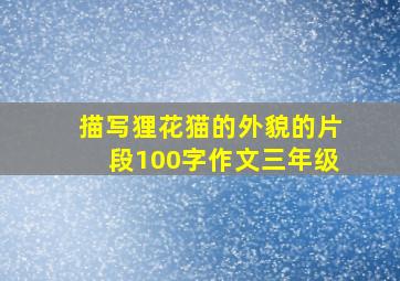 描写狸花猫的外貌的片段100字作文三年级