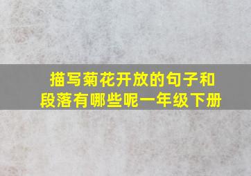 描写菊花开放的句子和段落有哪些呢一年级下册