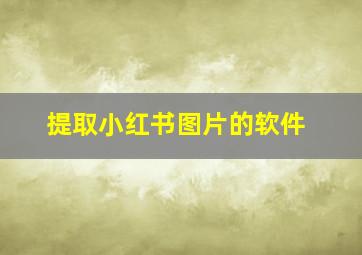 提取小红书图片的软件