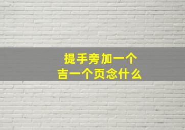 提手旁加一个吉一个页念什么