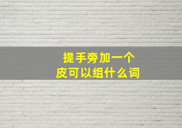 提手旁加一个皮可以组什么词