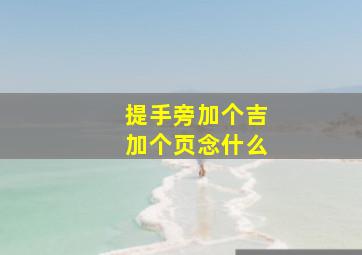 提手旁加个吉加个页念什么