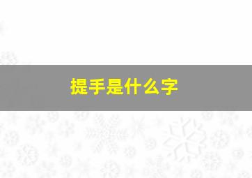 提手是什么字