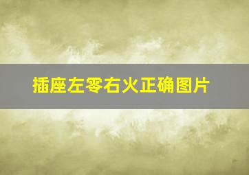 插座左零右火正确图片