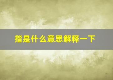 揩是什么意思解释一下