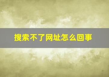 搜索不了网址怎么回事