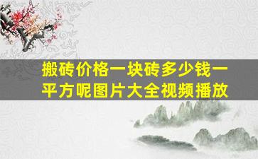 搬砖价格一块砖多少钱一平方呢图片大全视频播放