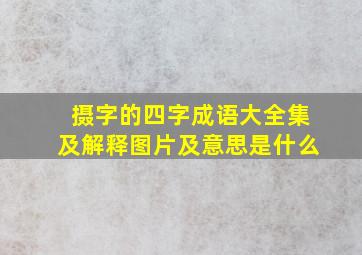 摄字的四字成语大全集及解释图片及意思是什么