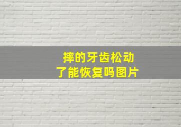 摔的牙齿松动了能恢复吗图片