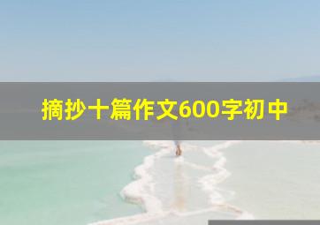 摘抄十篇作文600字初中