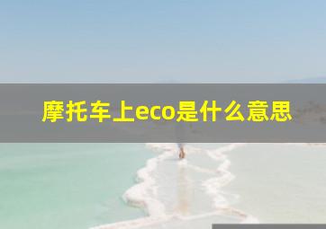 摩托车上eco是什么意思