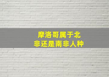 摩洛哥属于北非还是南非人种