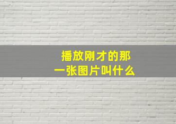 播放刚才的那一张图片叫什么