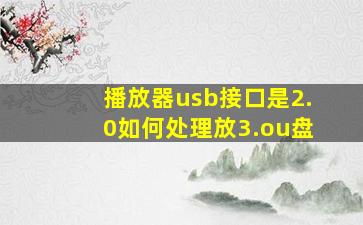 播放器usb接口是2.0如何处理放3.ou盘