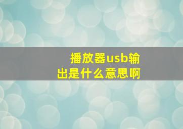 播放器usb输出是什么意思啊