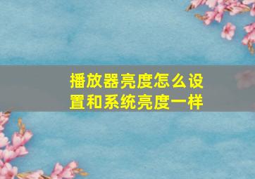 播放器亮度怎么设置和系统亮度一样