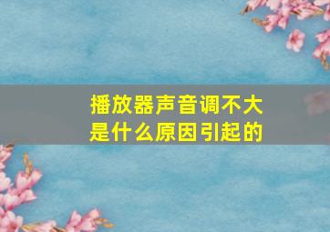 播放器声音调不大是什么原因引起的