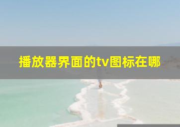 播放器界面的tv图标在哪